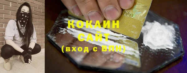 прущие грибы Богородицк
