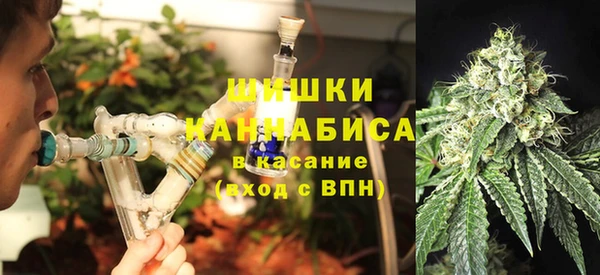 мескалин Богданович
