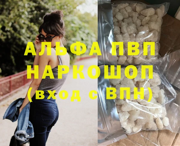 прущие грибы Богородицк
