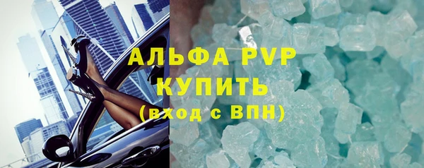 прущие грибы Богородицк