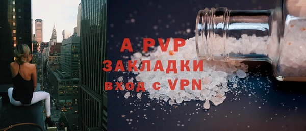 ECSTASY Богородск